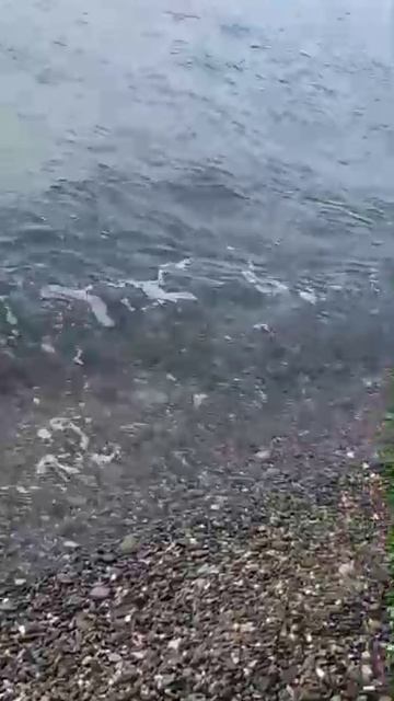 Скорей бы на МОРЕ !!!!
