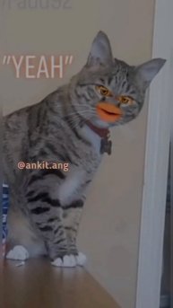 apne kam se kam rak 😂 #short #youtubeshorts #catcomedy