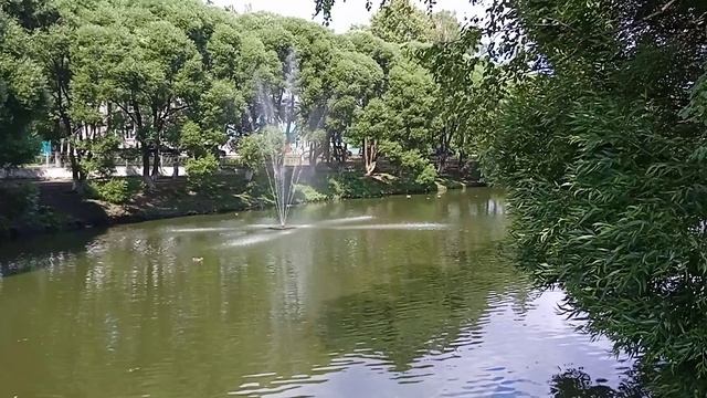 VID_20220727_113128