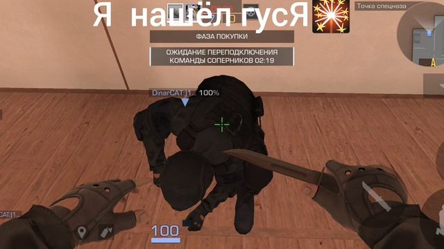 я нашёл гуся в стандофф 2!!