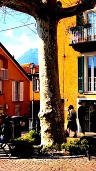 Моменты жизни, запечатленные на камеру