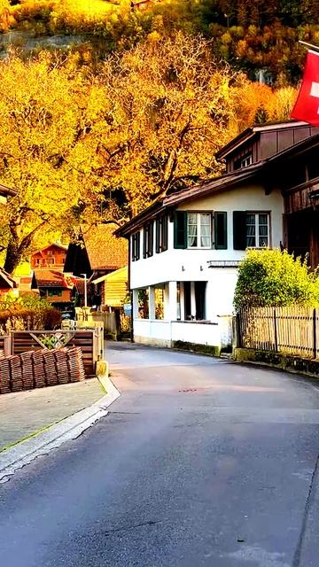 Ловим неожиданные моменты