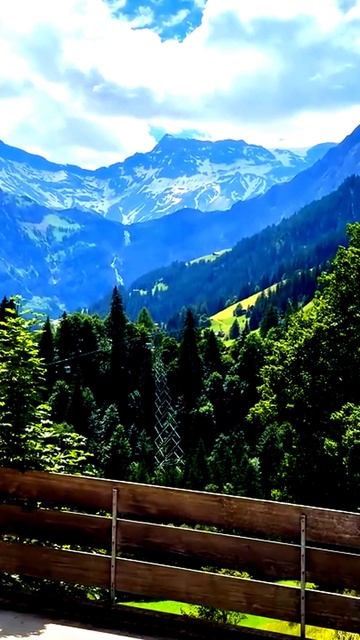 Неожиданные кадры жизни