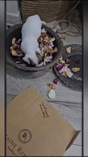 1 неделя в семье