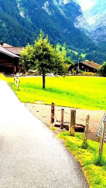 Камера поймала реальность