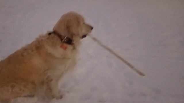 Валетик-Шпингалетик: Тонкая палочка. Часть 1