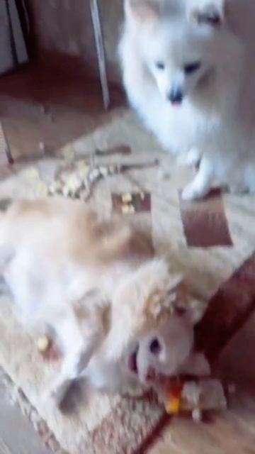 👍😂😂😂😂😂