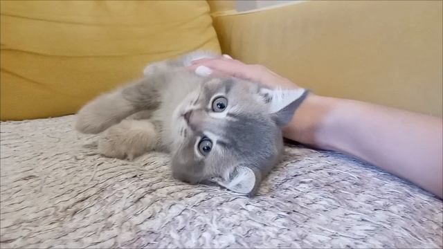 1000024515.mp4