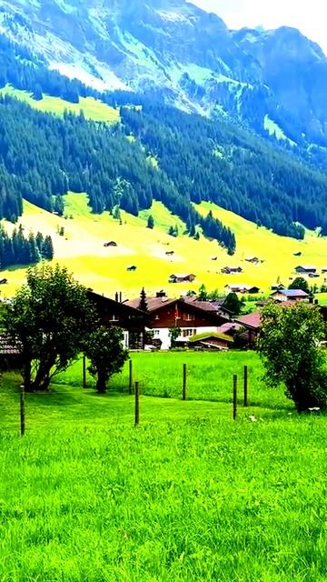 Секреты камеры