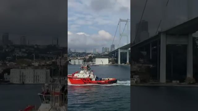 YouCut_20240807_204409675.mp4