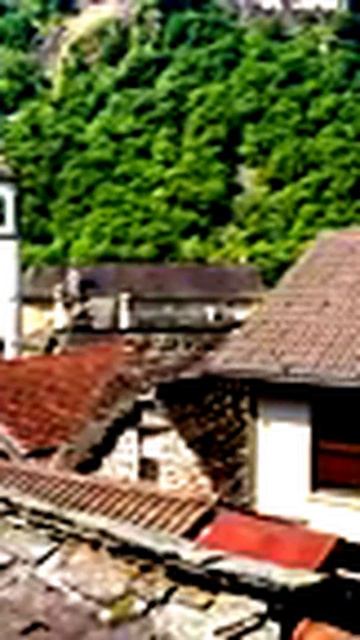 Камера запечатлела