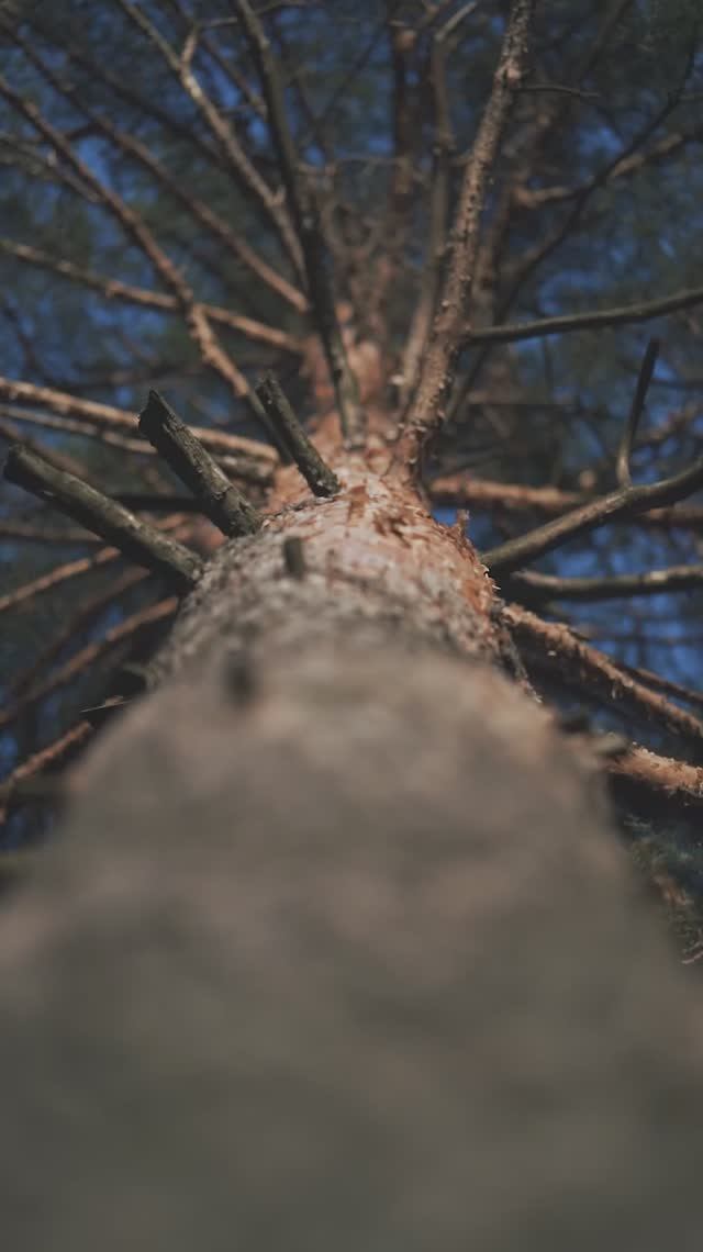 Планы на это лето