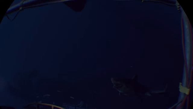 ATTACK OF THE HUGE SHARK _ PS4 VR Live