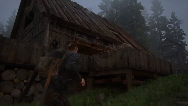 The Last of Us Part II (Seattle day III Collectibles Abby)
