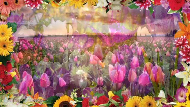 VID-20250315-WA0401