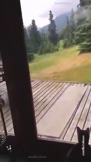 VID-20250315-WA0717