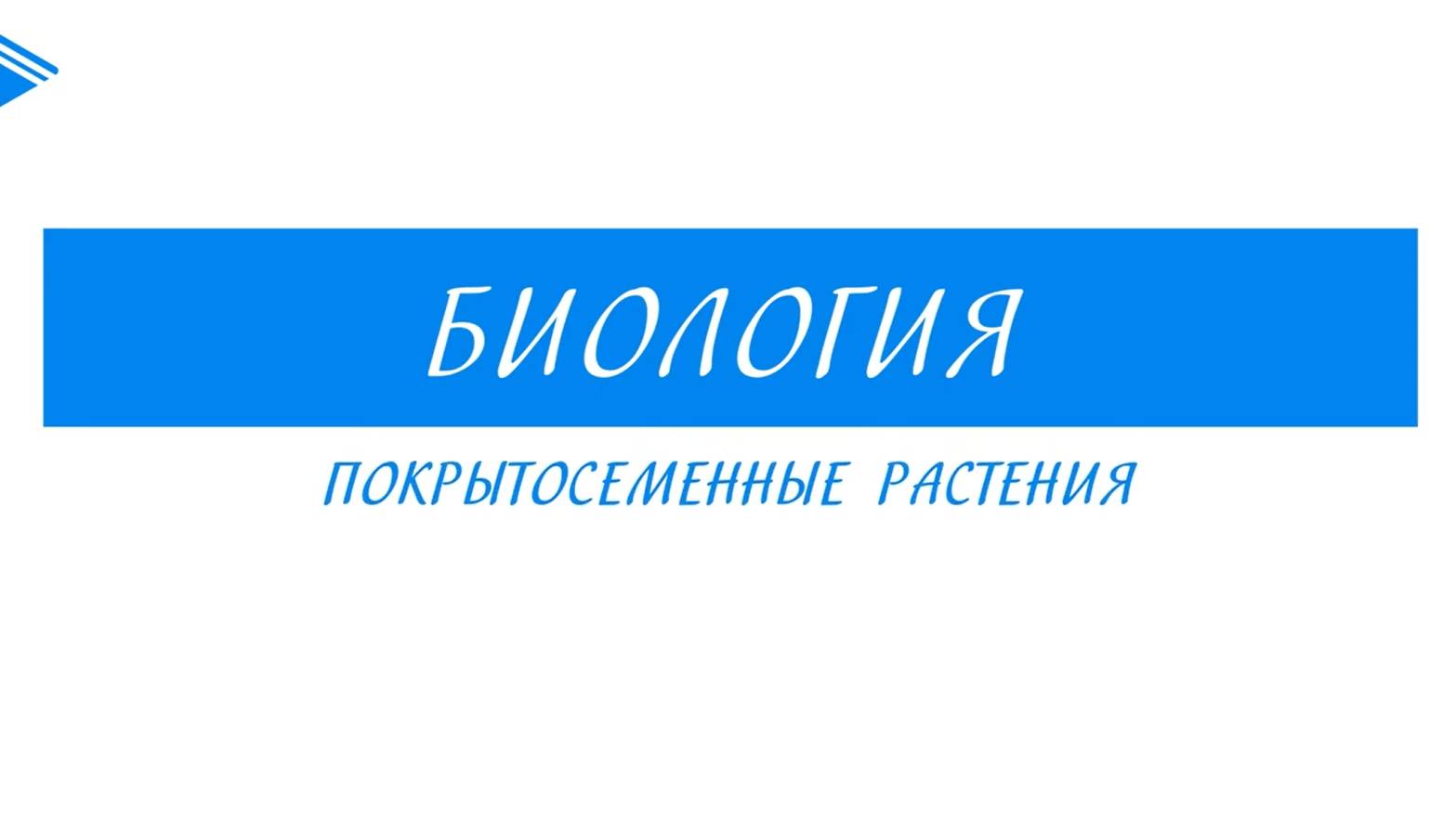 6 класс - Биология - Покрытосеменные растения