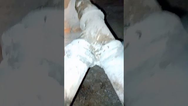 1000064151.mp4