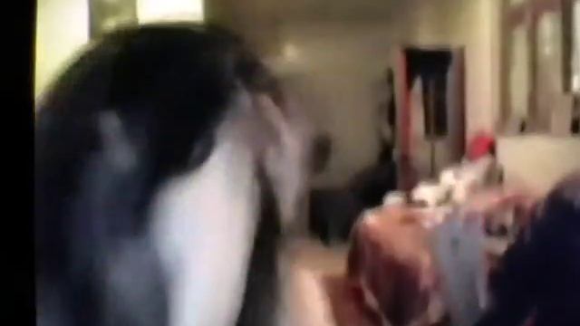 video_1531748028913.mp4