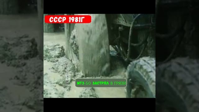 мтз 50