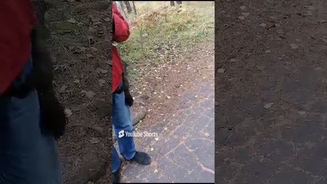 п. Аршан Бурятия