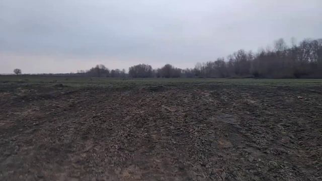Чистка водоема . ставок . вид из глубины.