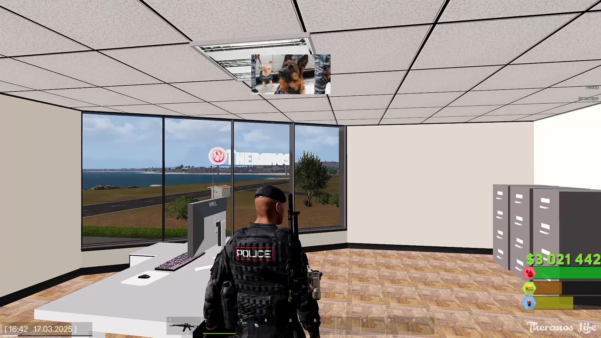 Arma 3 Теранус служба в МВД