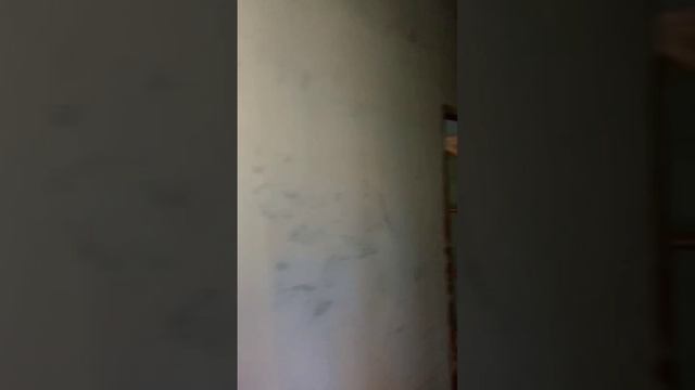 Сдаю помещение Протвино, Центральный проезд 1