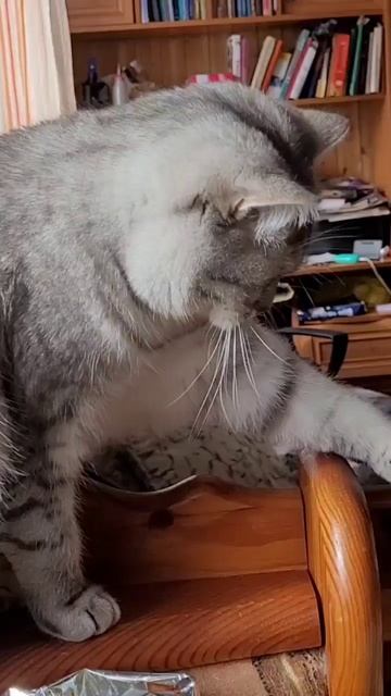 Трудная задача