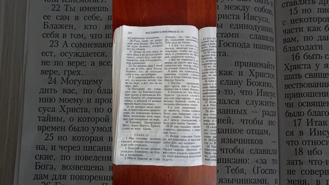 Мои мечты во Христе которые с вашими возможно не совпадут.