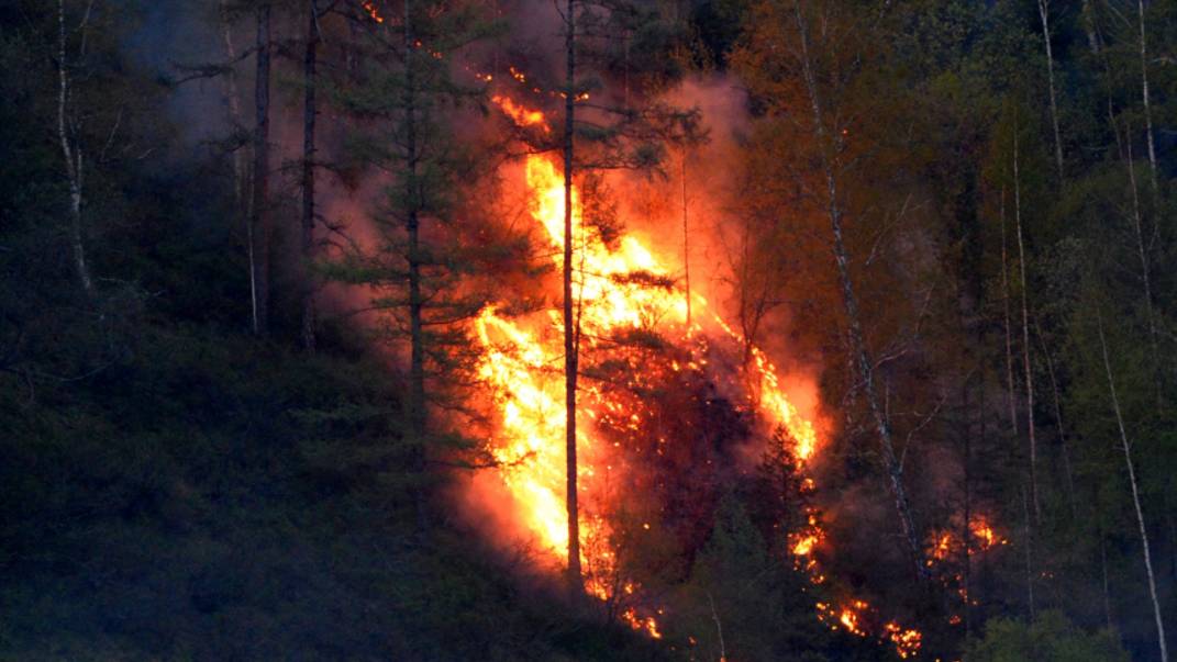 В огненном аду: природные пожары бушуют в нескольких регионах России