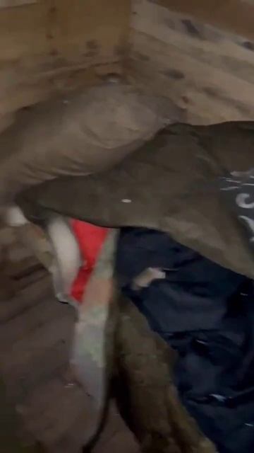 Чтобы мы спокойно спали, им приходится не спать.
