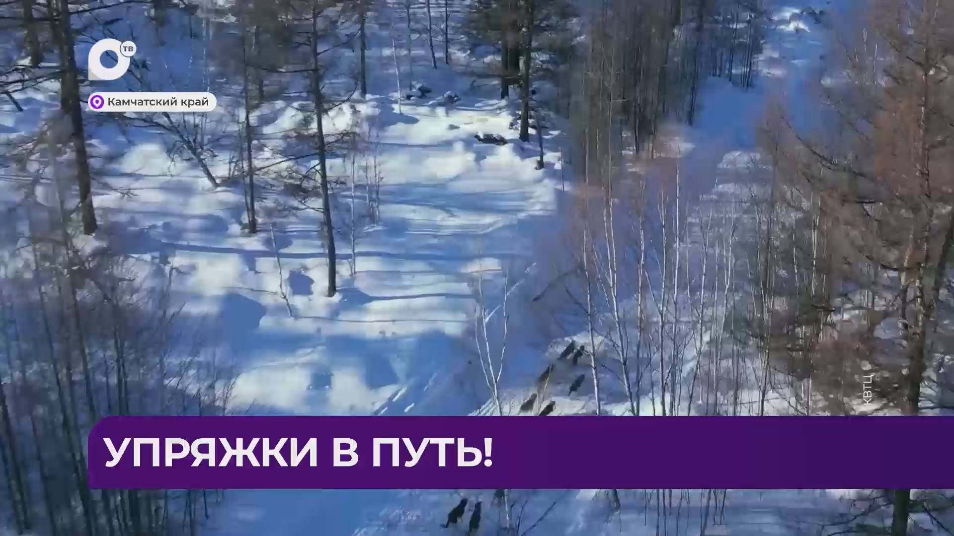Дальний Восток Блиц / 17.03.25