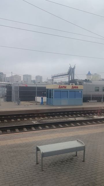 Паровоз по рельсам мчиться🚂 На пути котёнок спит🙀