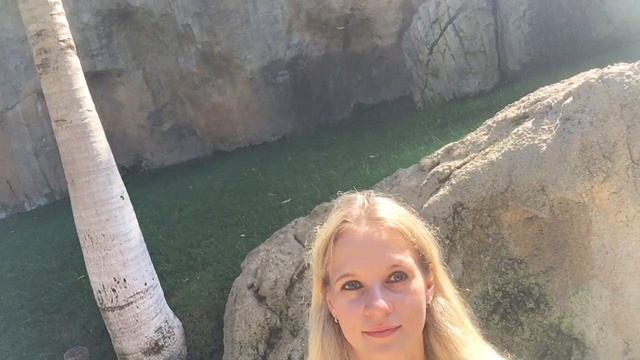 Зоопарк в Валенсии. Испания