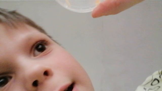 VID_20250317_202746.mp4Опыты