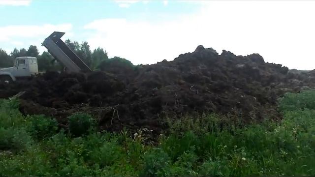 Буртование навоза
