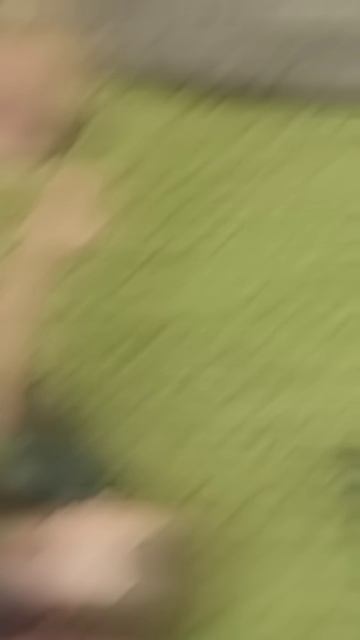 Да лорд крутой😎