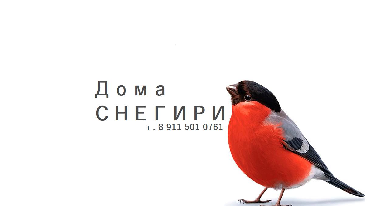 Дом Снегирь №2