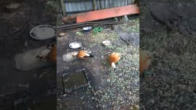 20180607 135526