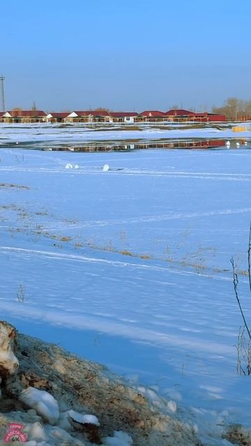 Река Тобол. Котлован КЖБИ. Костанай. 14 марта 2025 г. #shorts #kostanay #весна #4k