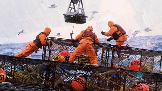 Catch Share Principles - The Bering Sea Example