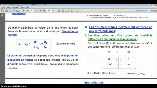 pdf to word