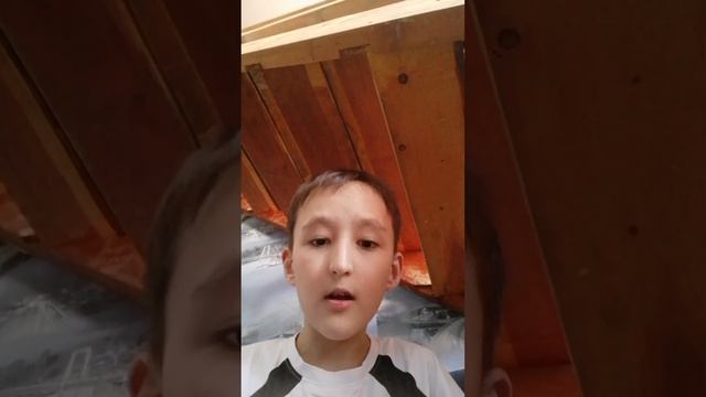 Шлёпикус pleius начало.
