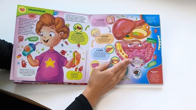 «Интерактивная энциклопедия» — серия познавательных изданий с 3D-иллюстрациями от ТМ Malamalama