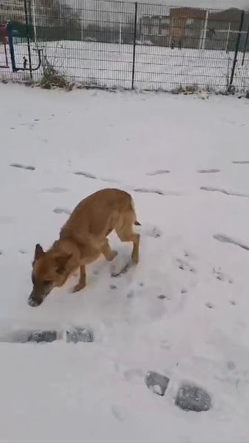 Для разнообразия: прогулка😜