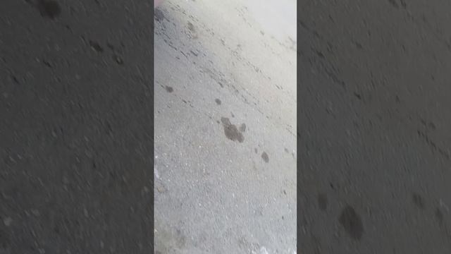 1000023975.mp4