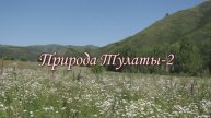 Природа Тулаты-2, слайдфильм