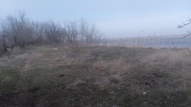 VID_20250306_132649