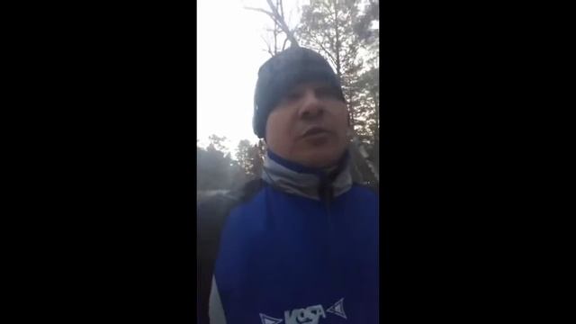 Елев8 Отзывы Капсулы Elev8 компания BEPIC